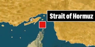 Iran Stops Pakistani Vessel from Crossing Strait of Hormuz; Five Indian Ships Pass Safely