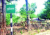 10 Convicted in 2013 Jhiram Valley Maoist Attack Sentenced to Death